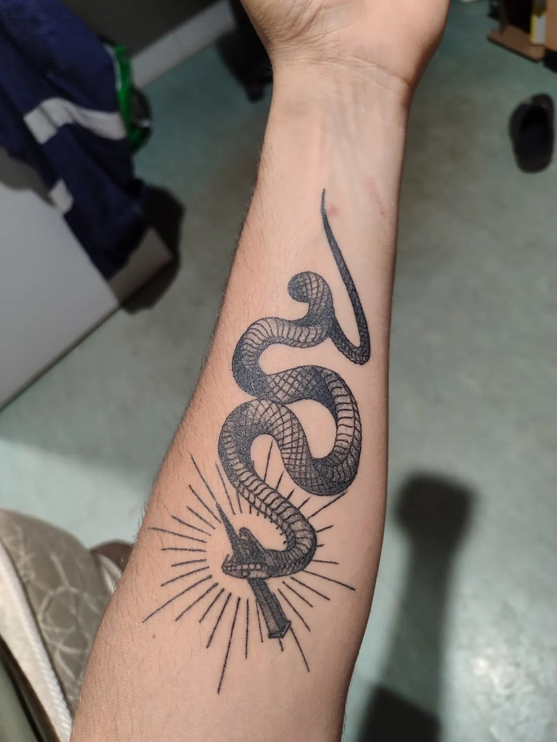 Blackwork snake tattoo on a forearm